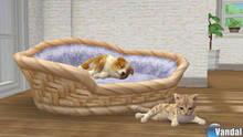 Imagen 17 de Nintendogs + Cats