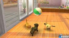 Imagen 18 de Nintendogs + Cats