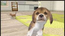 Imagen 29 de Nintendogs + Cats