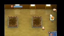 Imagen 16 de Harvest Moon: The Tale of Two Towns