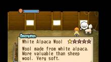Imagen 34 de Harvest Moon: The Tale of Two Towns