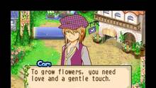 Imagen 6 de Harvest Moon: The Tale of Two Towns