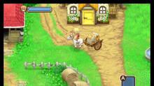 Imagen 46 de Harvest Moon: The Tale of Two Towns