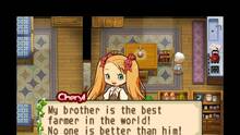 Imagen 47 de Harvest Moon: The Tale of Two Towns