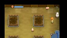 Imagen 8 de Harvest Moon: The Tale of Two Towns