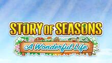 Imagen 27 de Story of Seasons: A Wonderful Life