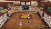 Imagen 32 de Story of Seasons: A Wonderful Life