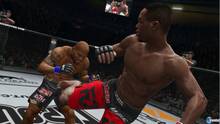 Imagen 40 de UFC Undisputed 3