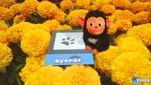 Imagen 62 de EyePet