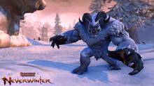 Imagen 81 de Neverwinter