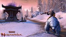 Imagen 86 de Neverwinter
