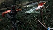 Imagen 159 de Ninja Gaiden 3