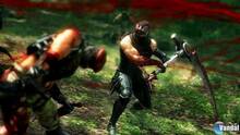 Imagen 211 de Ninja Gaiden 3