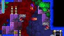 Imagen 5 de Shantae: Risky's Revenge