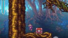 Imagen 8 de Shantae: Risky's Revenge
