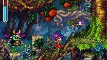 Imagen 11 de Shantae: Risky's Revenge