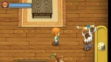Imagen 51 de Harvest Moon: The Tale of Two Towns