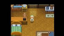Imagen 64 de Harvest Moon: The Tale of Two Towns
