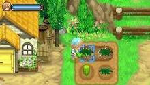Imagen 52 de Harvest Moon: The Tale of Two Towns