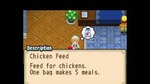Imagen 71 de Harvest Moon: The Tale of Two Towns