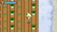 Imagen 72 de Harvest Moon: The Tale of Two Towns