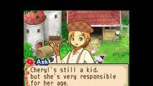 Imagen 74 de Harvest Moon: The Tale of Two Towns