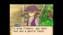 Imagen 75 de Harvest Moon: The Tale of Two Towns