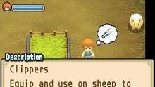 Imagen 83 de Harvest Moon: The Tale of Two Towns
