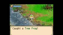 Imagen 89 de Harvest Moon: The Tale of Two Towns