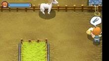Imagen 91 de Harvest Moon: The Tale of Two Towns