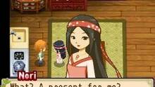 Imagen 94 de Harvest Moon: The Tale of Two Towns
