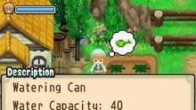 Imagen 95 de Harvest Moon: The Tale of Two Towns