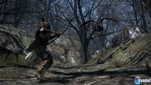 Imagen 379 de Dragon's Dogma