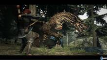 Imagen 387 de Dragon's Dogma