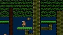 Imagen 5 de Adventure Island II CV