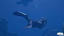 Imagen 6 de ArmA III