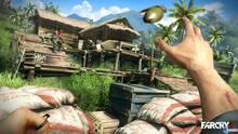 Imagen 60 de Far Cry 3
