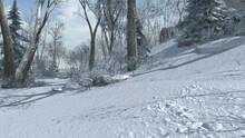 Imagen 50 de Assassin's Creed III