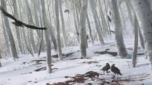 Imagen 226 de Assassin's Creed III