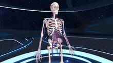 Imagen 35 de Human Anatomy VR