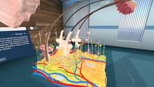 Imagen 15 de Human Anatomy VR
