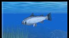 Imagen 2 de Reel Fishing Paradise 3D