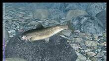 Imagen 18 de Reel Fishing Paradise 3D