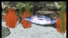 Imagen 33 de Reel Fishing Paradise 3D