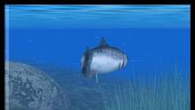 Imagen 37 de Reel Fishing Paradise 3D