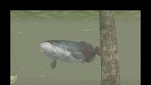 Imagen 8 de Reel Fishing Paradise 3D