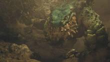 Imagen 32 de Monster Hunter Wilds