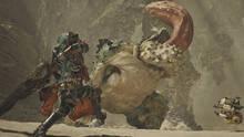 Imagen 155 de Monster Hunter Wilds