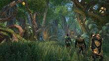 Imagen 9 de The Elder Scrolls Online: Gold Road
