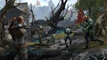 Imagen 10 de The Elder Scrolls Online: Gold Road